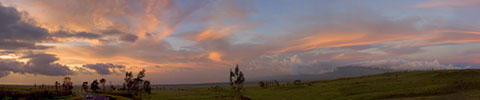 Rush Hour, Waikoloa, Hawaii - Mark Dodge